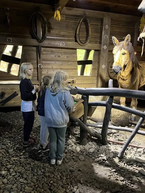 Fotografie z článku: Škola v přírodě