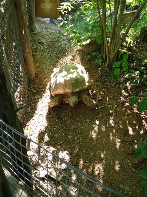 Fotografie z článku: Školka v ZOO