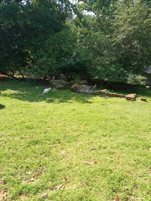 Fotografie z článku: Školka v ZOO