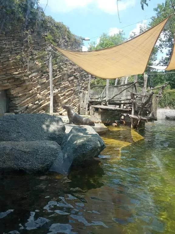 Fotografie z článku: Školka v ZOO