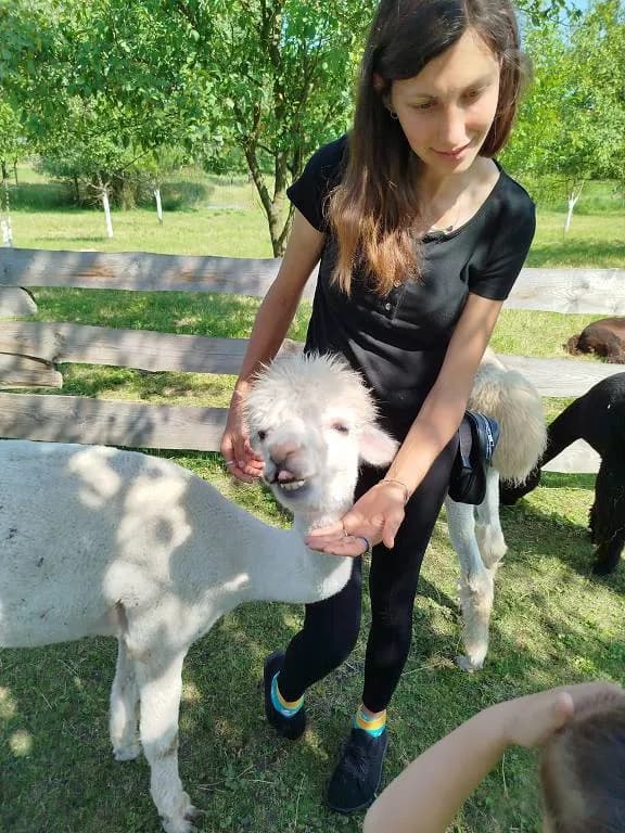 Fotografie z článku: Koťata v Rymicích