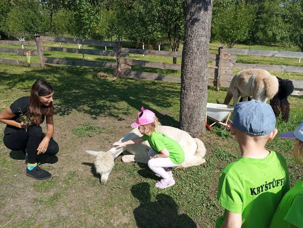 Fotografie z článku: Koťata v Rymicích