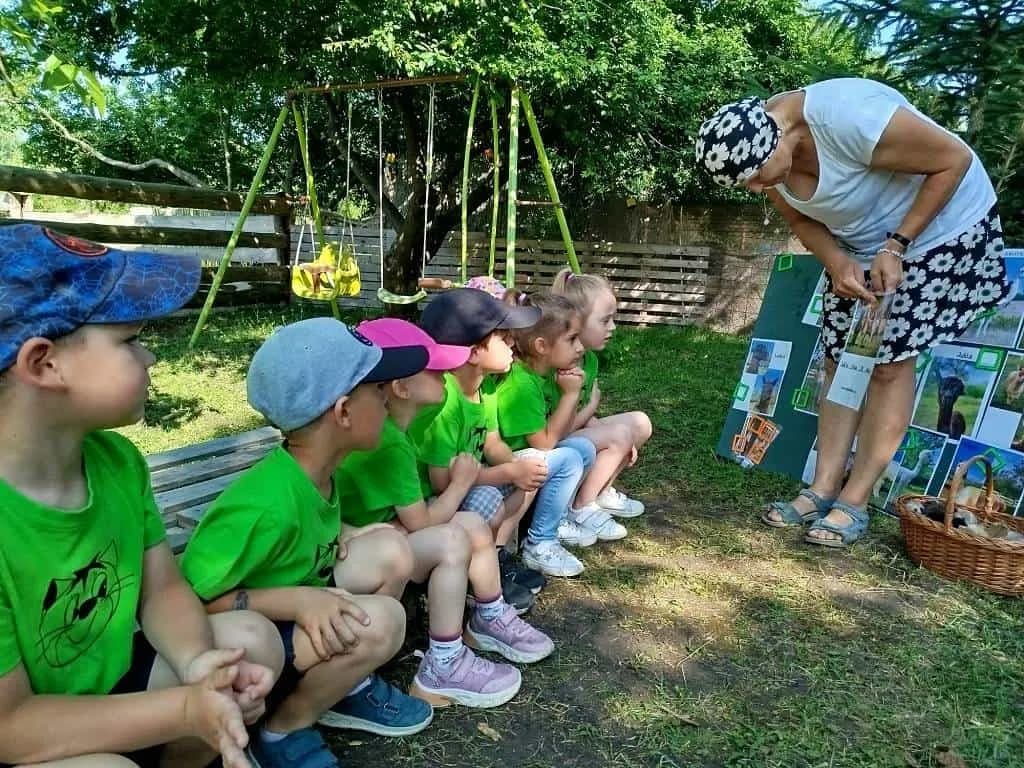 Fotografie z článku: Koťata v Rymicích