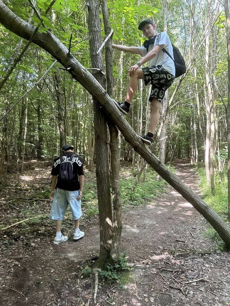 Fotografie z článku: Pečení perníků u Koťat