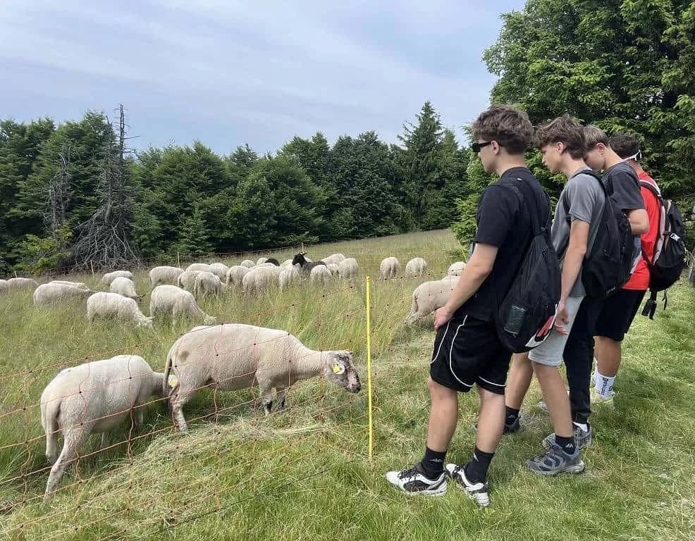 Fotografie z článku: Školní výlet deváťáků
