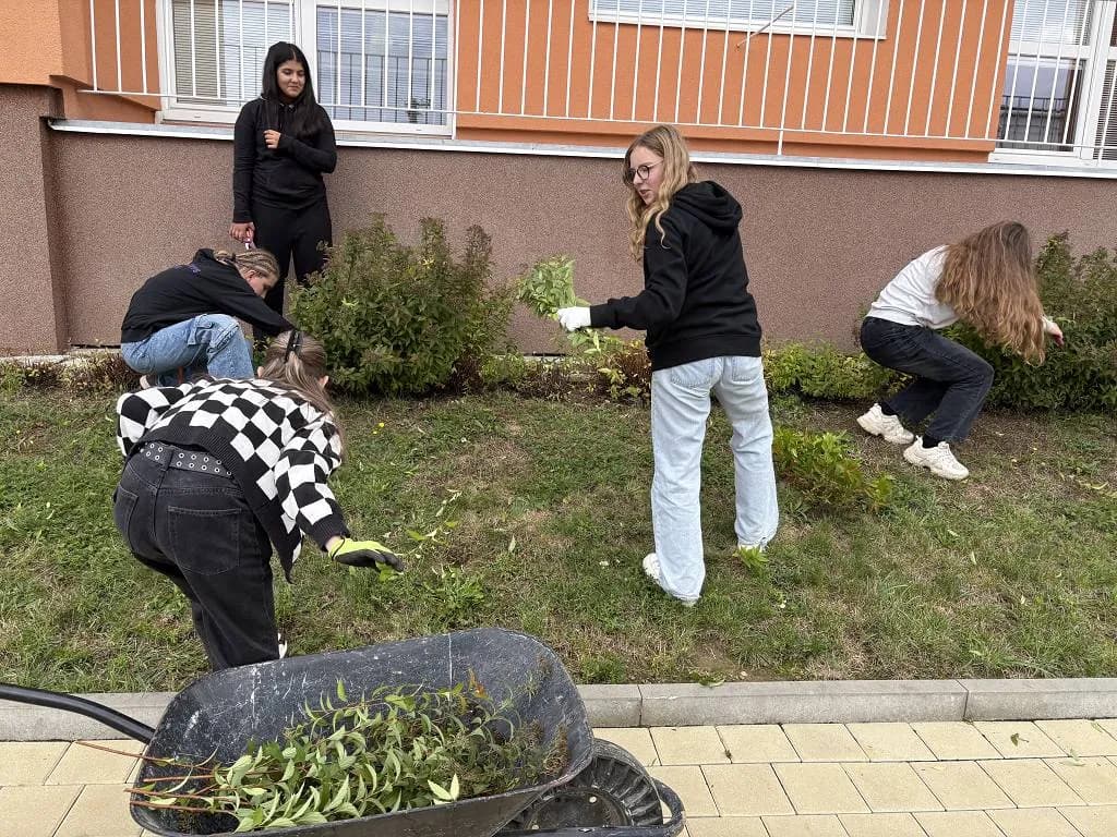 Fotografie z článku: Pracovní činnosti u sedmáků