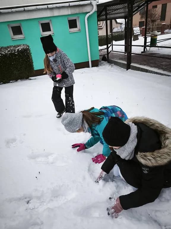 Fotografie z článku: Pracovní výchova v přírodě ⛄