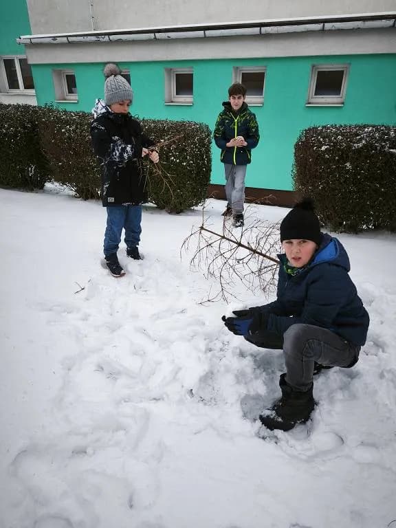 Fotografie z článku: Pracovní výchova v přírodě ⛄