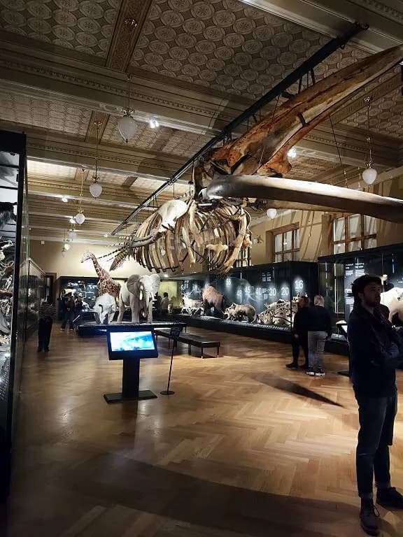 Fotografie z článku: Exkurze v Praze