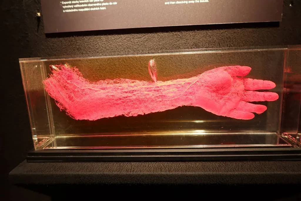 Fotografie z článku: Exkurze v Praze