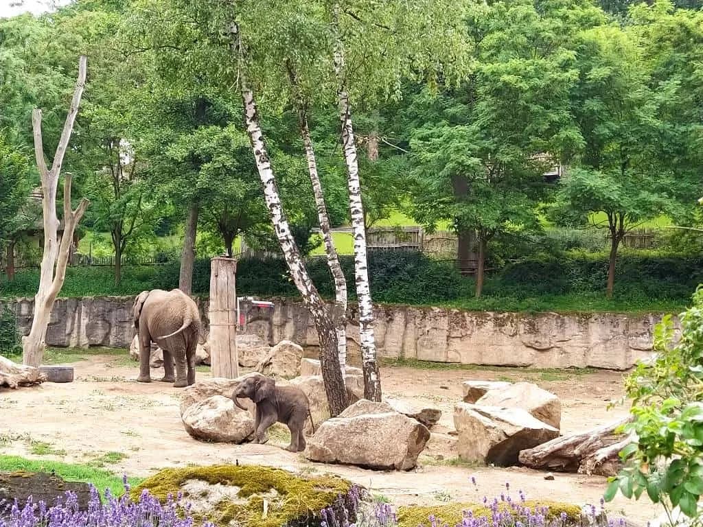 Fotografie z článku: Přívesnický tábor -  „Letem světem"