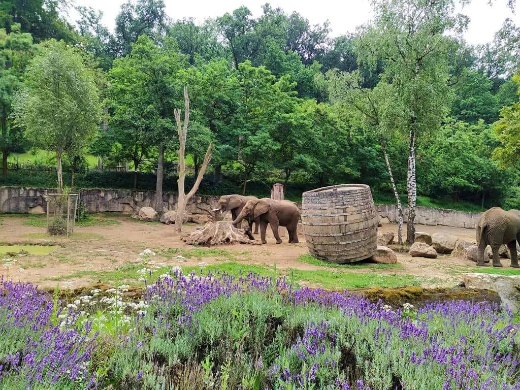 Fotografie z článku: Přívesnický tábor -  „Letem světem"