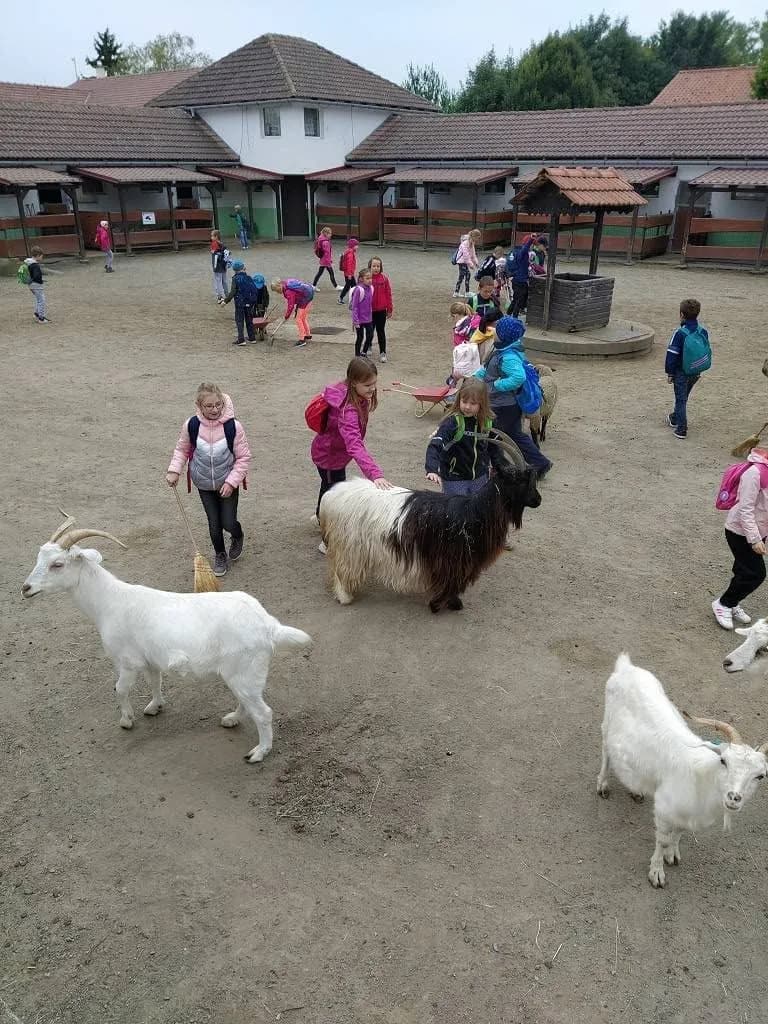 Fotografie z článku: 1.-3. třída v Dinoparku ve Vyškově