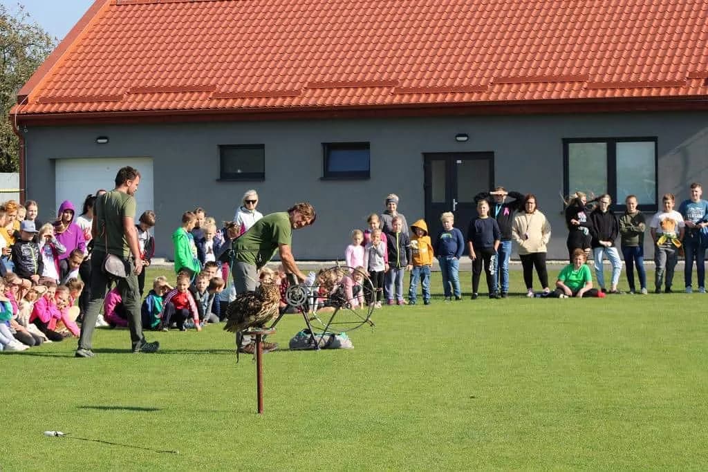 Fotografie z článku: Seiferos - ukázky ze života dravých ptáků