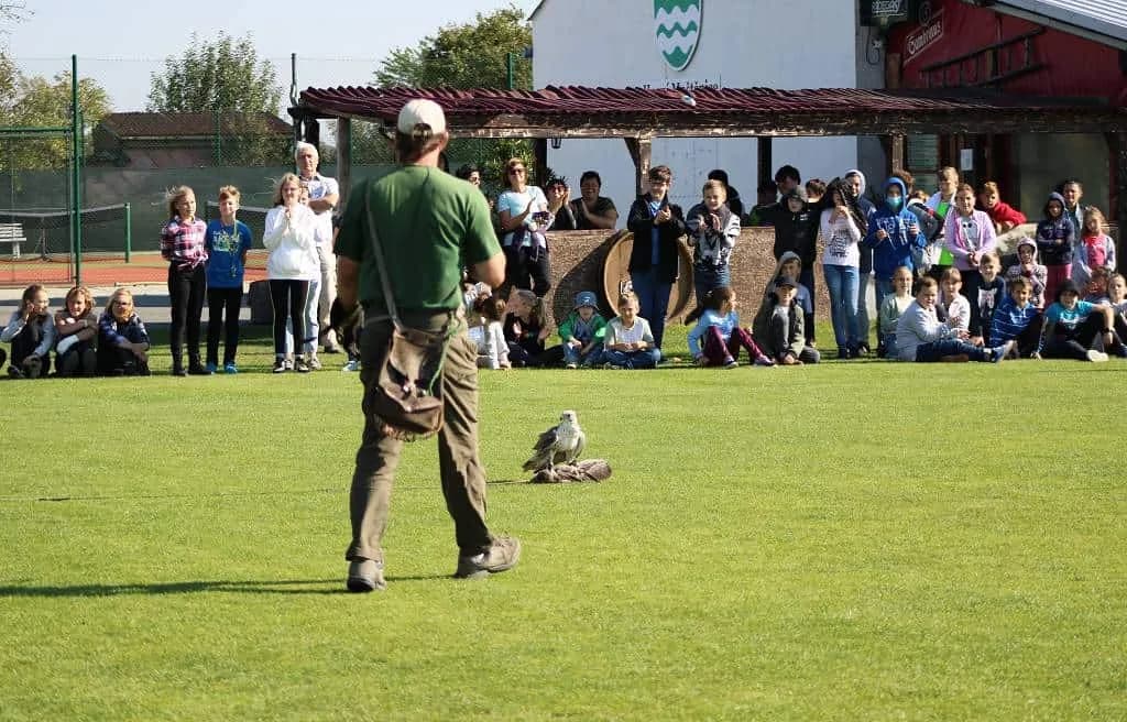 Fotografie z článku: Seiferos - ukázky ze života dravých ptáků