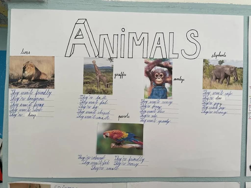 Fotografie z článku: Práce žáků IV.B - Projekt Animals