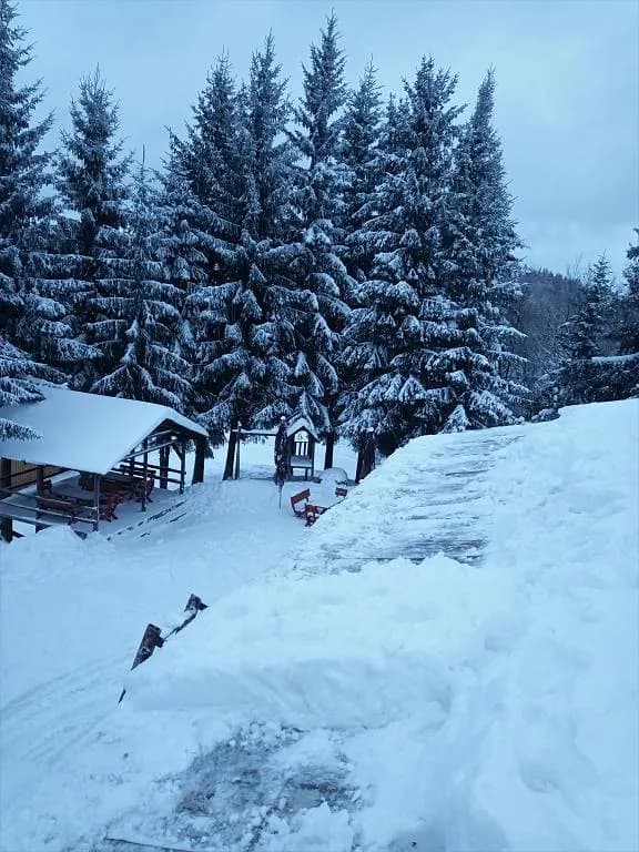 Fotografie z článku: Lyžařský a snowboardový zájezd