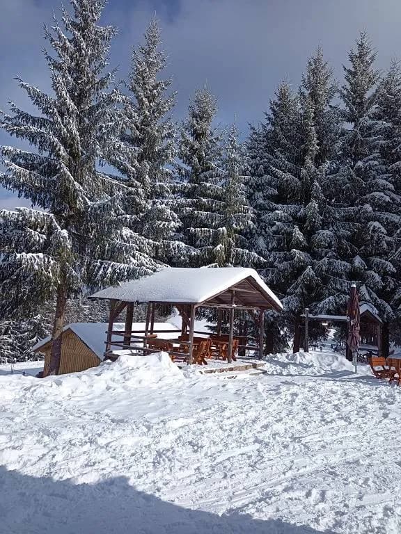 Fotografie z článku: Lyžařský a snowboardový zájezd