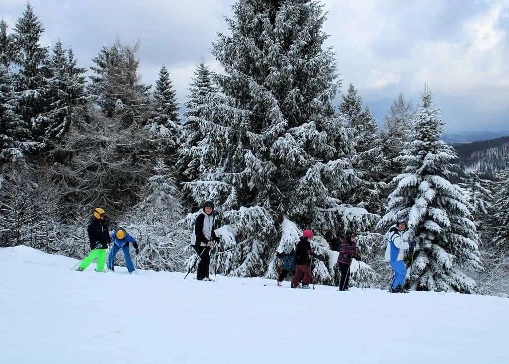 Fotografie z článku: Lyžařský a snowboardový zájezd