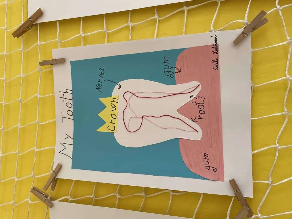 Fotografie z článku: Projektový den Zdravé zuby