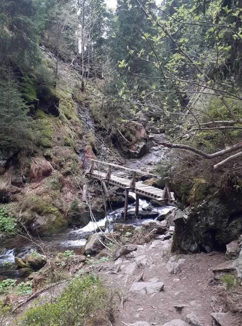 Fotografie z článku: Exkurze finalistů soutěže Naší přírodou na Praděd