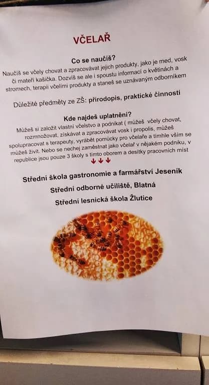 Fotografie z článku: Exkurze deváťáků na Úřadu práce a v Obchodní akademii v Přerově