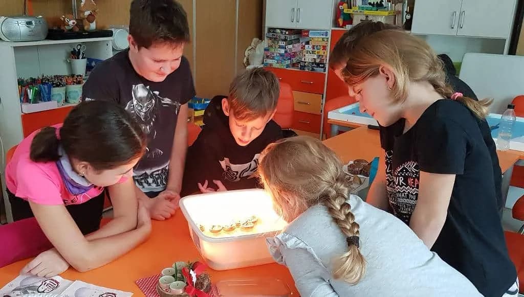 Tradice Vánoc u Veverek