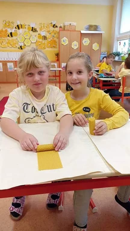 Fotografie z článku: Projekt Včely ve II. B