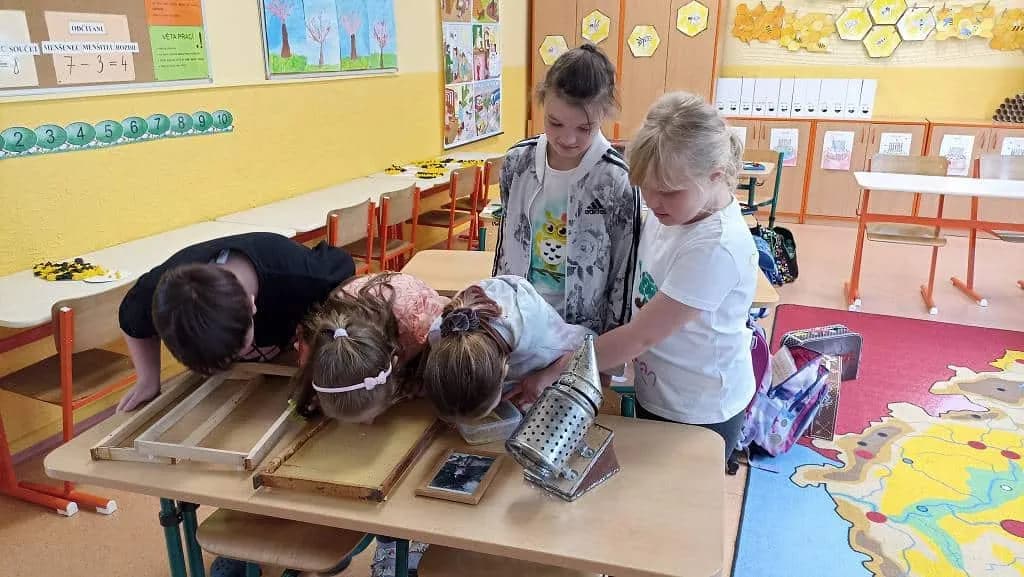 Fotografie z článku: Projekt Včely ve II. B