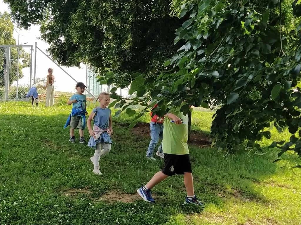 Fotografie z článku: Koťata a ll. A spolu kamarádí