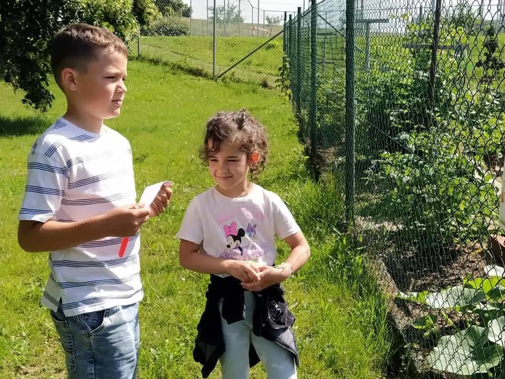 Fotografie z článku: Koťata a ll. A spolu kamarádí