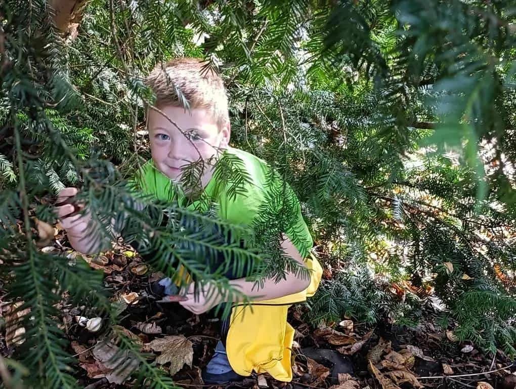 Fotografie z článku: Putování s moudrou sovou Vševědkou