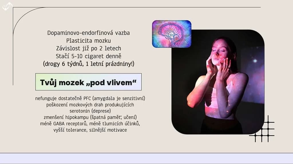 Fotografie z článku: Preventivní programy v 7. a 8. třídách
