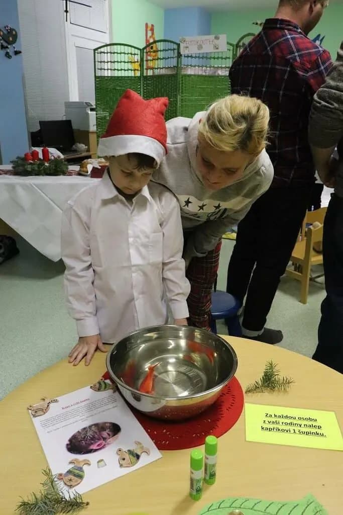 Fotografie z článku: Vánoce u Sluníček a Koťat