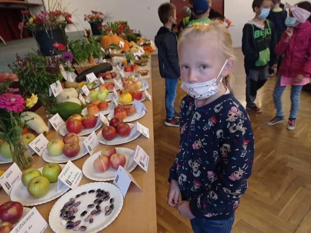 Fotografie z článku: Výstava zahrádkářů
