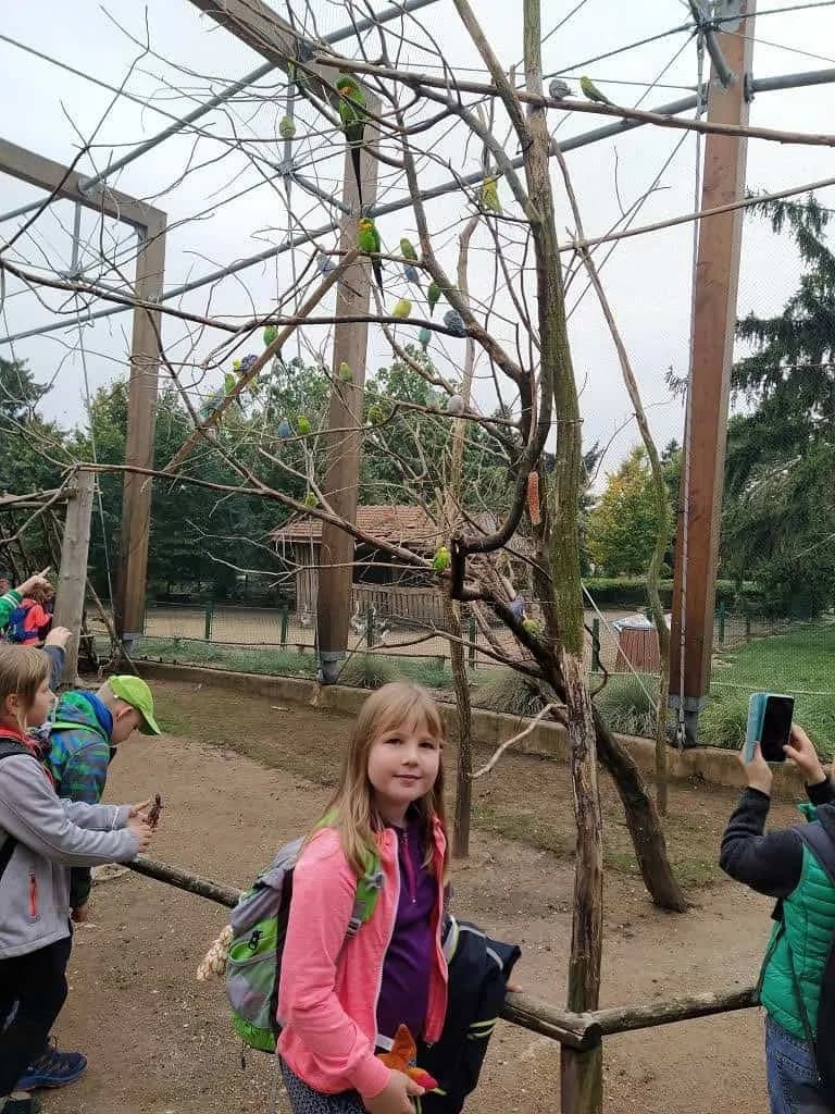 Fotografie z článku: 1.-3. třída v Dinoparku ve Vyškově