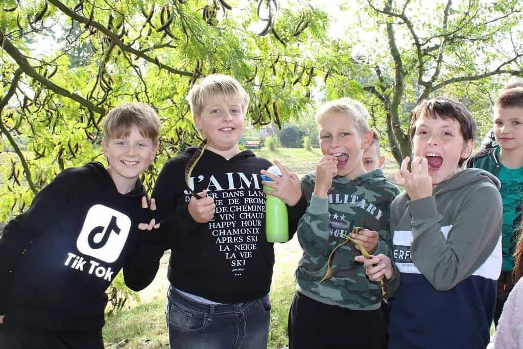 Fotografie z článku: Podzimní stezka přírodou - Smajlíci a Veverky ŠD