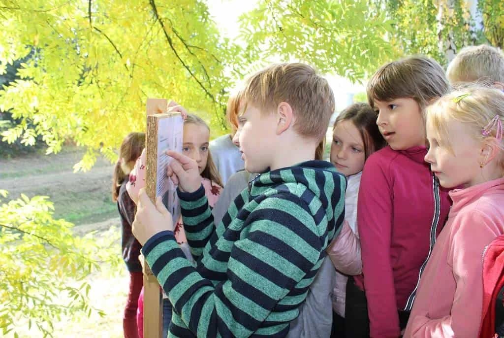 Fotografie z článku: Podzimní stezka přírodou - Smajlíci a Veverky ŠD