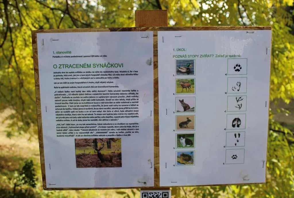 Fotografie z článku: Podzimní stezka přírodou - Smajlíci a Veverky ŠD