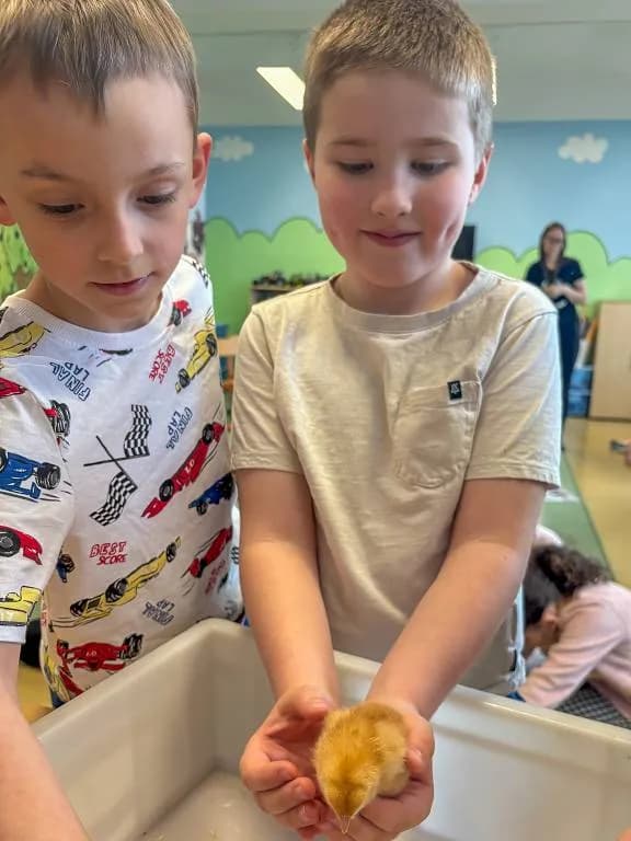 Fotografie z článku: Za kuřátky se zvířátky