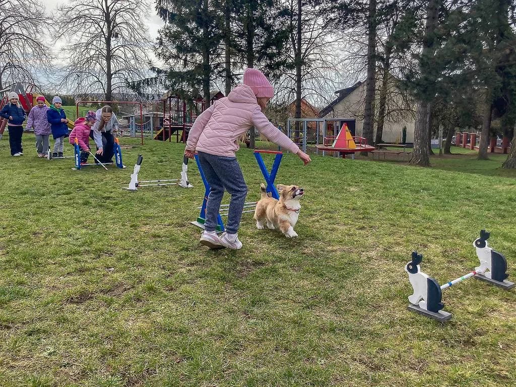 Fotografie z článku: Jarní setkání se zvířátky 🐇