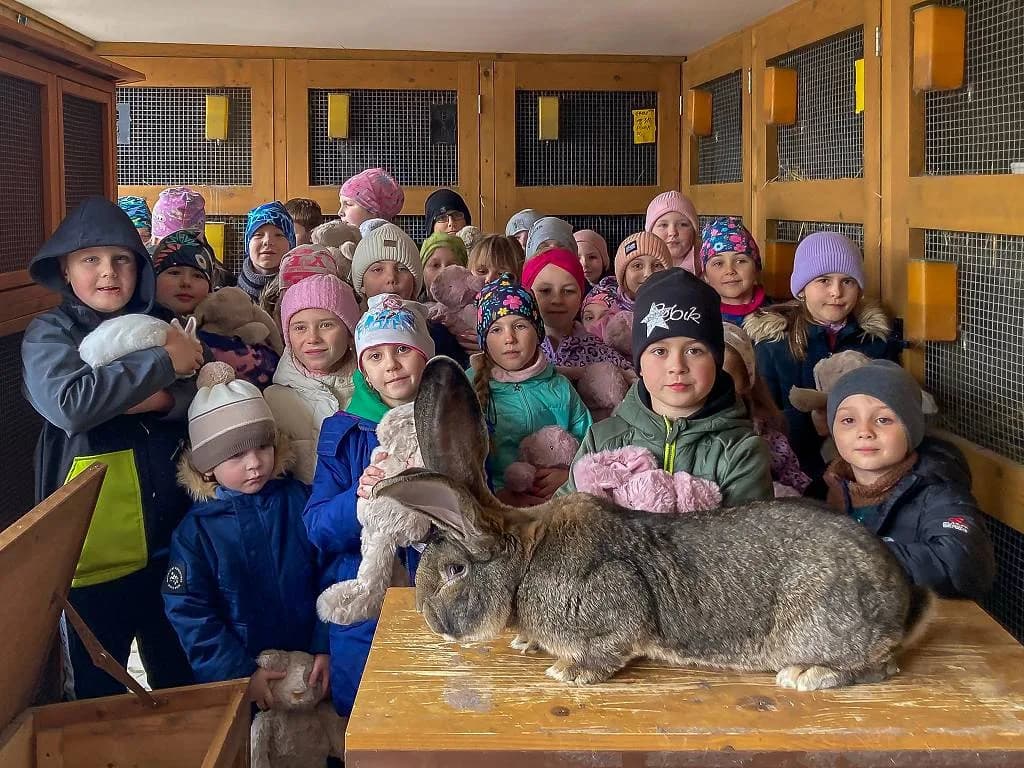 Fotografie z článku: Jarní setkání se zvířátky 🐇