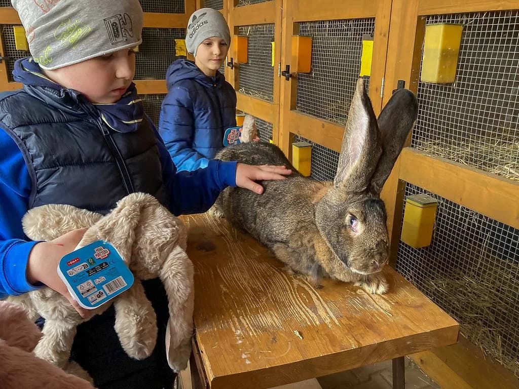 Fotografie z článku: Jarní setkání se zvířátky 🐇