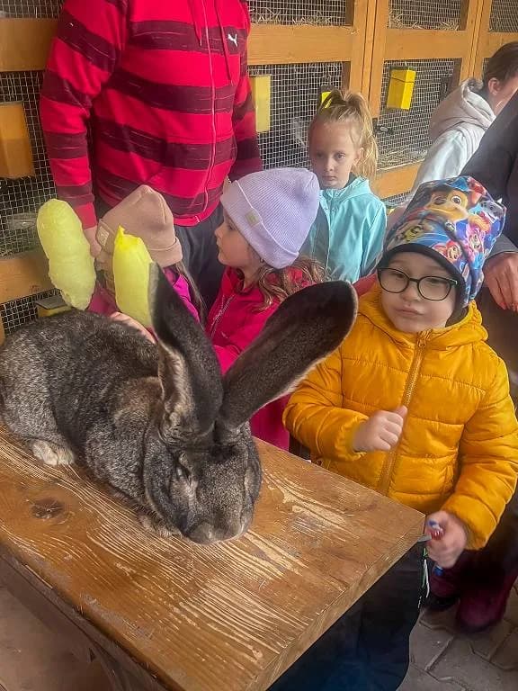 Fotografie z článku: VČELIČKY A BERUŠKY U ZVÍŘÁTEK