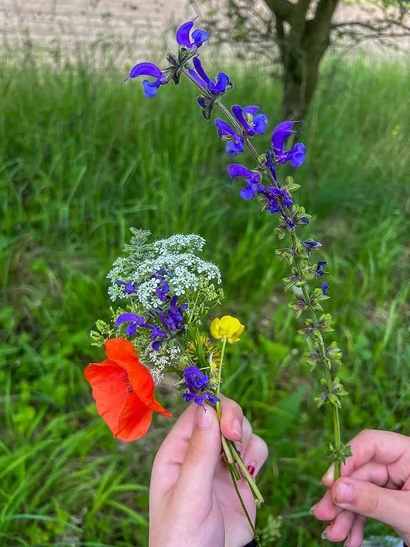 Fotografie z článku: Šesťáci a školkáčci na společné Stezce za odpadem