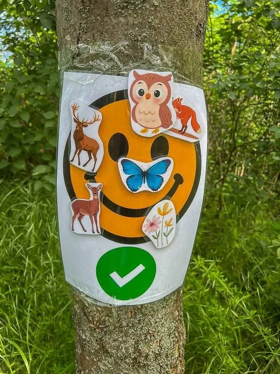 Fotografie z článku: Šesťáci a školkáčci na společné Stezce za odpadem