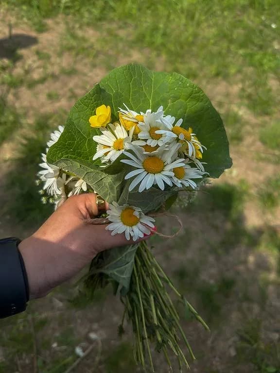 Fotografie z článku: Šesťáci a školkáčci na společné Stezce za odpadem