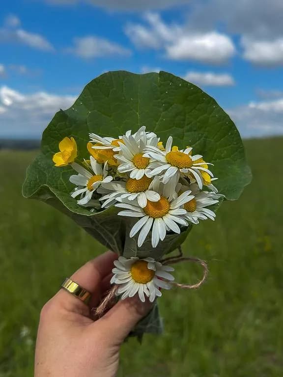 Fotografie z článku: Šesťáci a školkáčci na společné Stezce za odpadem