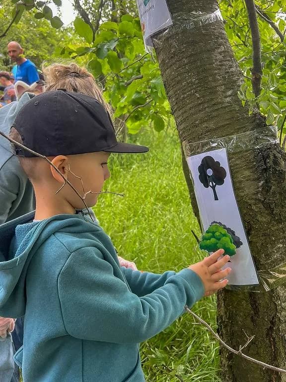 Fotografie z článku: Šesťáci a školkáčci na společné Stezce za odpadem