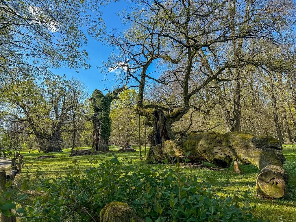 Fotografie z článku: Stínování pedagogů v zahraničí